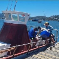 Knysna Fishing Charters