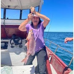 Knysna Fishing Charters Fish and chips